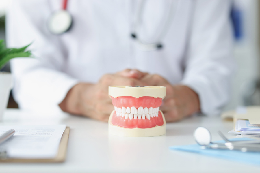 beratung-zahnkorrektur-veneers-ulm Zahnmodell auf einem Schreibtisch bei der Beratung zu Veneers und Zahnkorrekturen